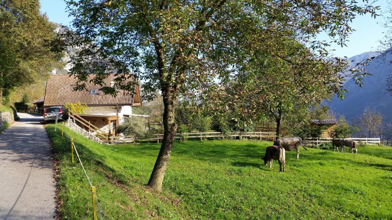 Chalet La Nos 몰리나디레드로 객실 사진
